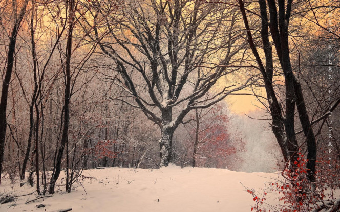 一张美味的图片 &middot; #720