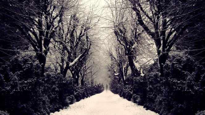 一张美味的图片 &middot; #2777