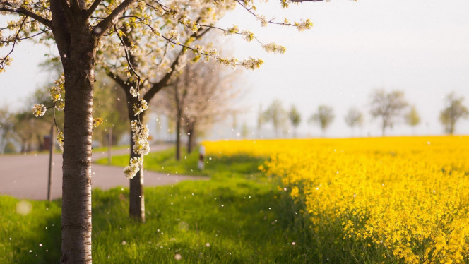 一张美味的图片 &middot; #696