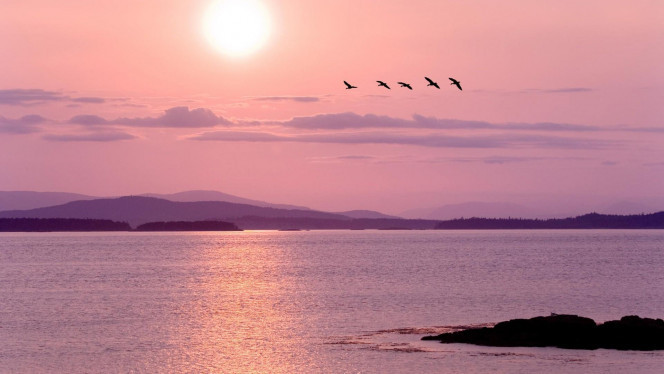 一张美味的图片 &middot; #4545