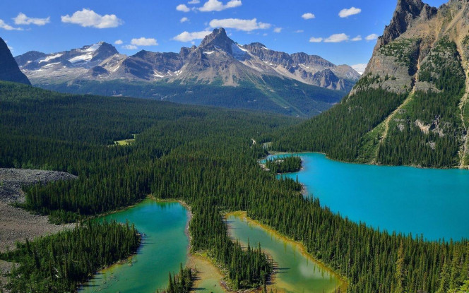 一张美味的图片 &middot; #4449