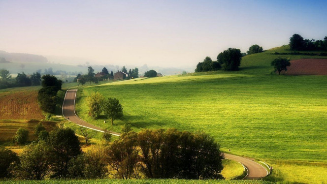 一张美味的图片 &middot; #3667