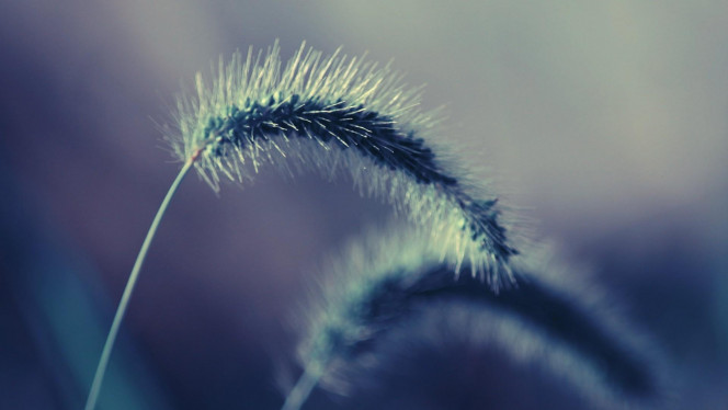 一张美味的图片 &middot; #3922