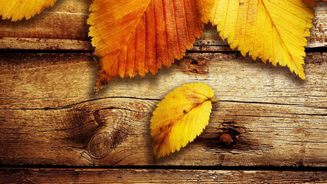 一张美味的图片 &middot; #3699