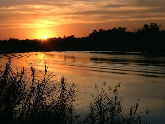 一张美味的图片 &middot; #545